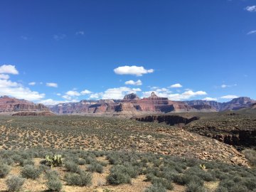 Bright Angel Até Point View