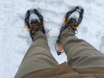 Snowshoe Trail