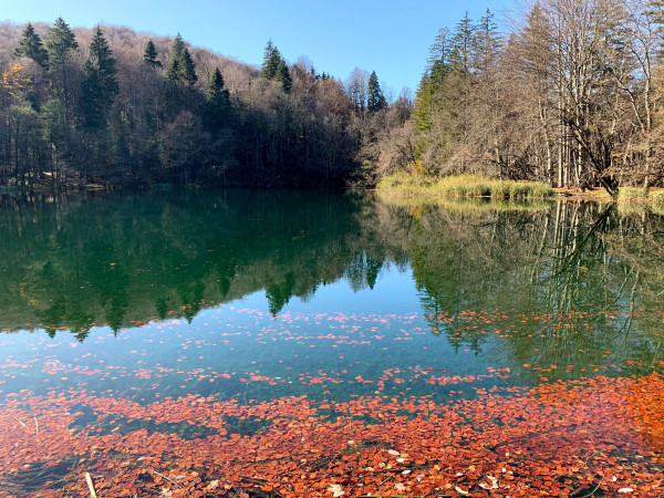 Natural Park Plitvice Lakes - C and 1-3 Trail to P3
