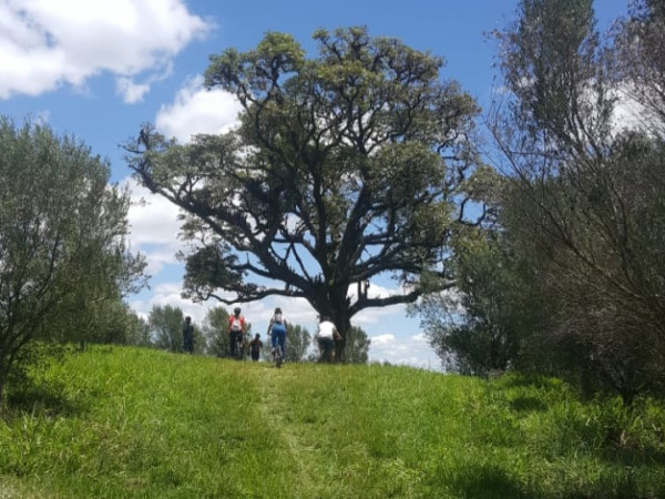 Trilha MTB - Ar condicionado