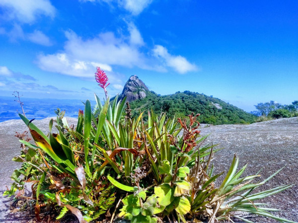 Pedra Das Flores E Pico Do Lopo