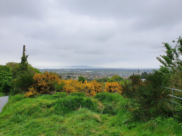 Ticknock Hike: Dublin’s Most Popular Walking Route
