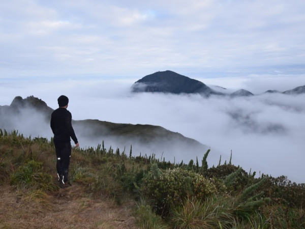Pico Paraná