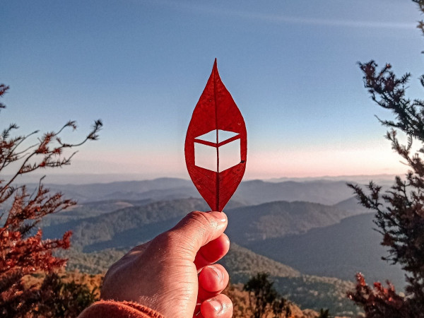 Pico Da Onça E Pedra Partida