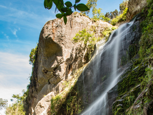 Guia - Véu da Noiva