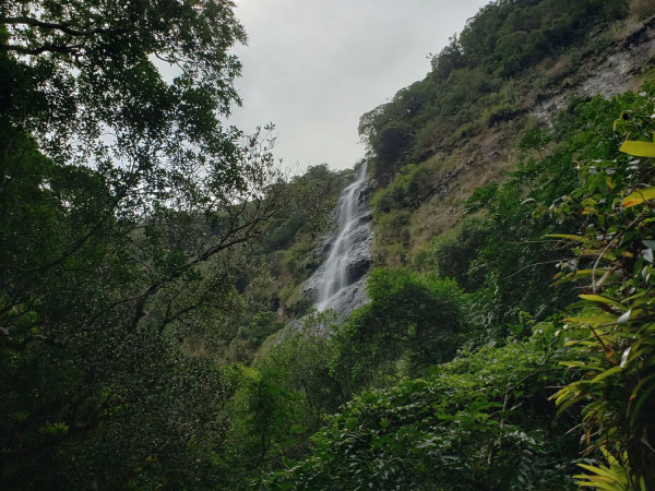 Nascente do Rio dos Sinos - Caraá