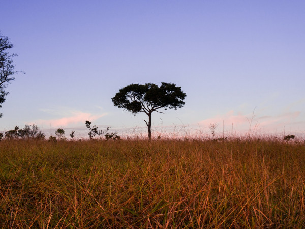 Acampamento no Morro do Garimpo