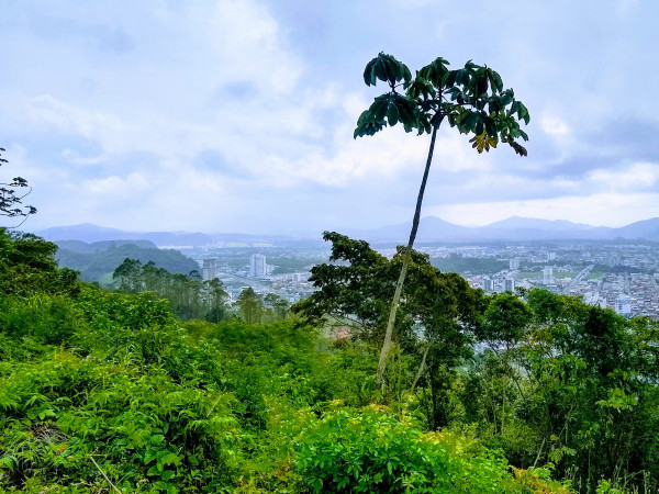 Itajaí-SC