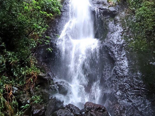 Parque das 8 Cachoeiras - São Francisco de Paula / RS