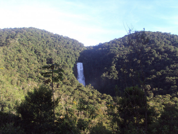 Trilha Do Ouro - Serra da Bocaina
