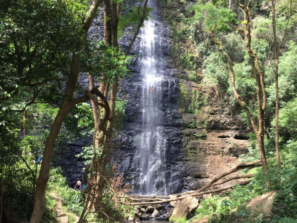 Cachoeira véu da noiva - Ortigueira PR