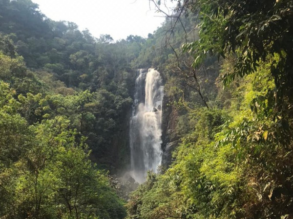 Hotel Fazenda Luar de Agosto - Faxinal/PR