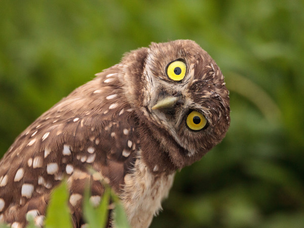 Passeio perto de Bled na Eslovênia