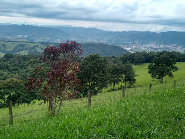 Voluntariando En Minas Gerais Brasil