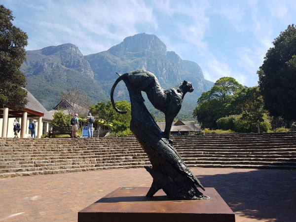 Hiking via Skeleton, Table Mountain, África Do Sul