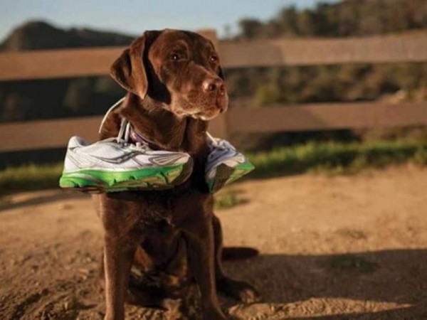 Somos Todos Natureza