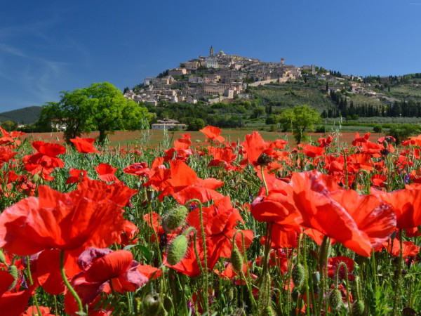 Passeio de bike por patrimônios da UNESCO