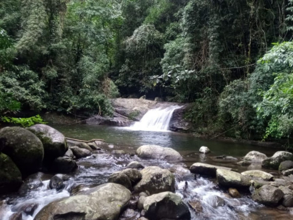 Trilha Agua branca - Ilhabela