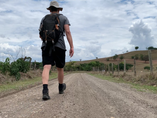 Bois, Búfalos e Cabritos