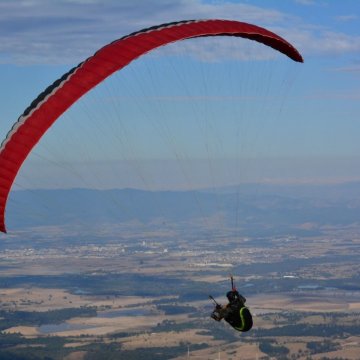 Vinicius Henrique