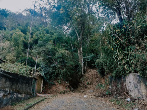 Trilha Do Morro do Cristo (Tostão) - Juiz de Fora / MG