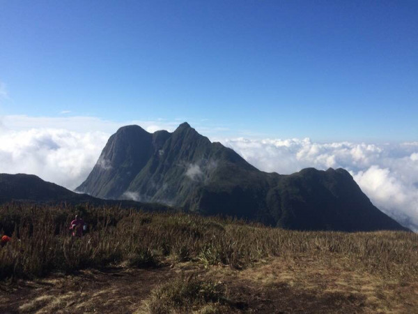 A Odisséia Paranaense - A Travessia Das Fazendas