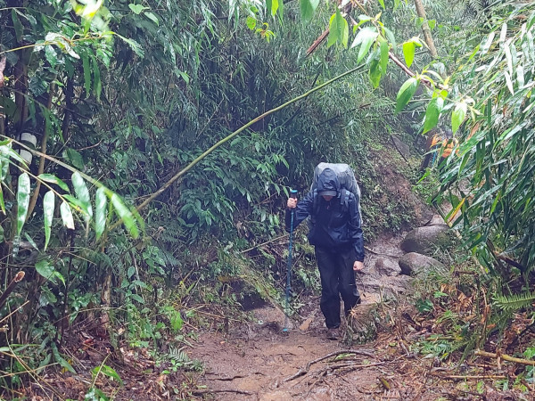 É preciso aprender a desistir.