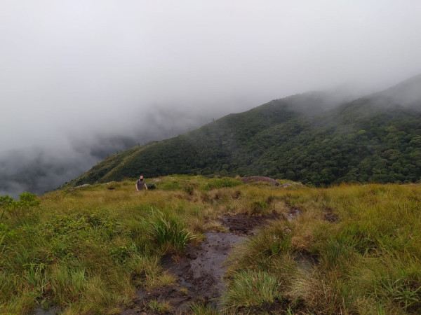 Subida ao Capivari Mirim