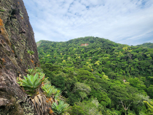 Via 15 de Novembro - Agulhinha da Gávea
