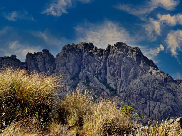 PNI - Série "Oh, Céus!"