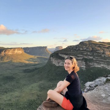 nos Brasis do Brasil