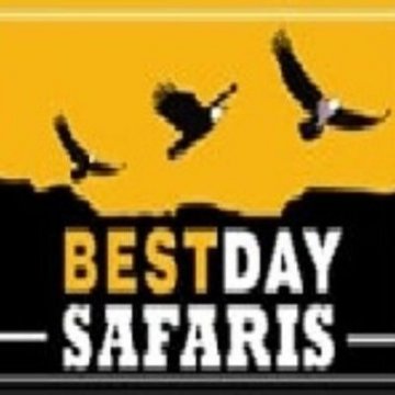 Bestday Safaris